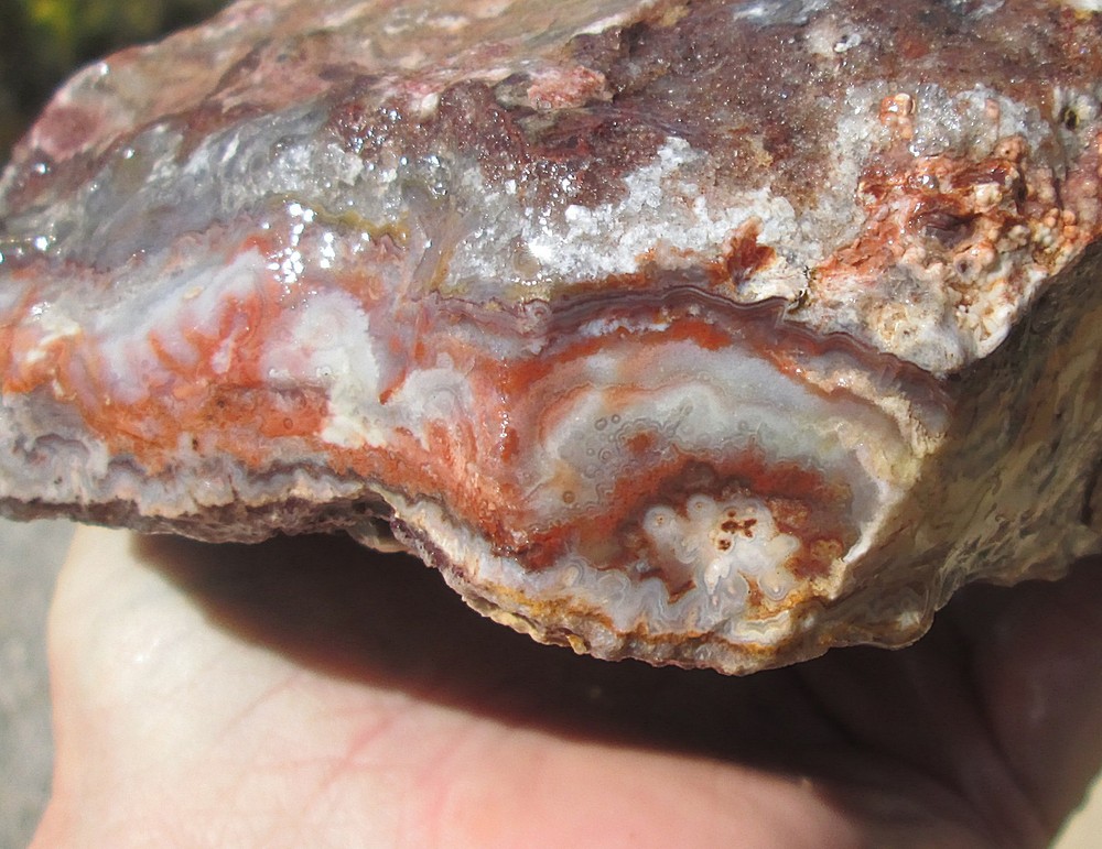 CRAZY LACE AGATE ROUGH ~ 6lbs 2ozs