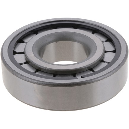 Differential Pilot Bearing DANA Spicer 126187