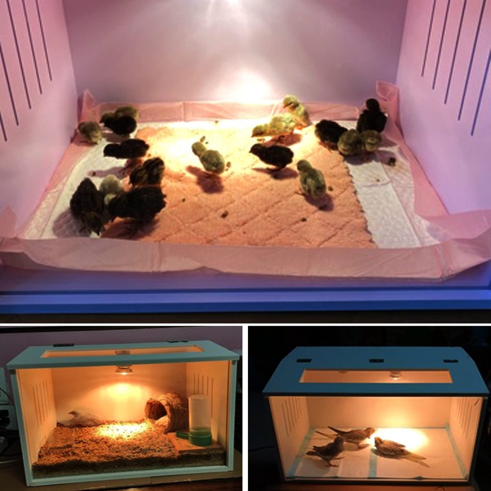 Chick Brooder Heating Brooding Box -Chicken Brooder Warms Up to 10-15 Newborn...