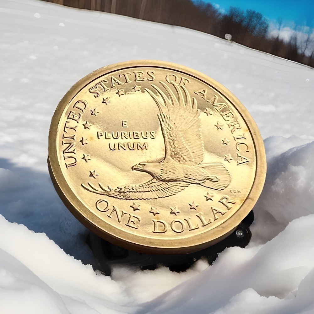 2002 S Sacagawea Mint Proof Dollar ~ With Eagle in Flight Reverse UNCIRCULATED