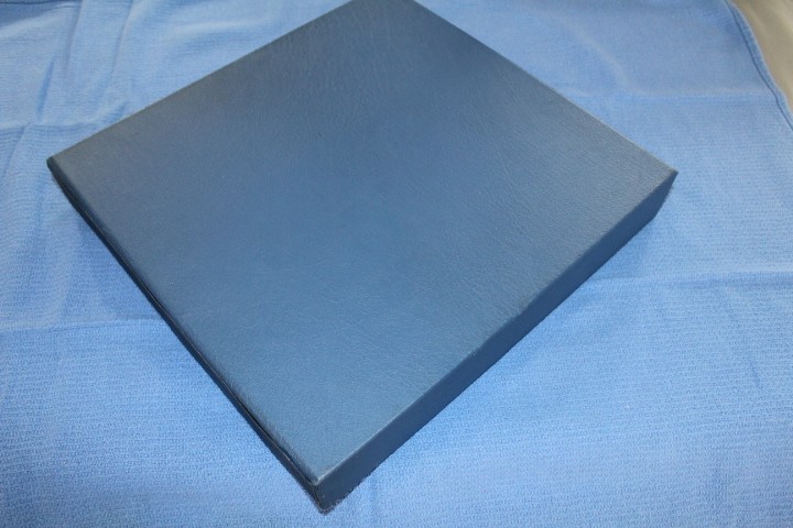 Lindner Blue 18 Ring binder with Dustcase BlueLakeStamps SUPER