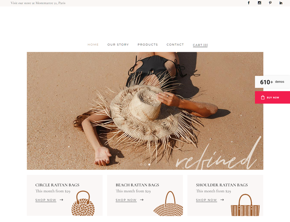 Janeiro - WordPress Site Theme | Shop & Blog Theme | FREE HOSTING+FREE INSTALL..