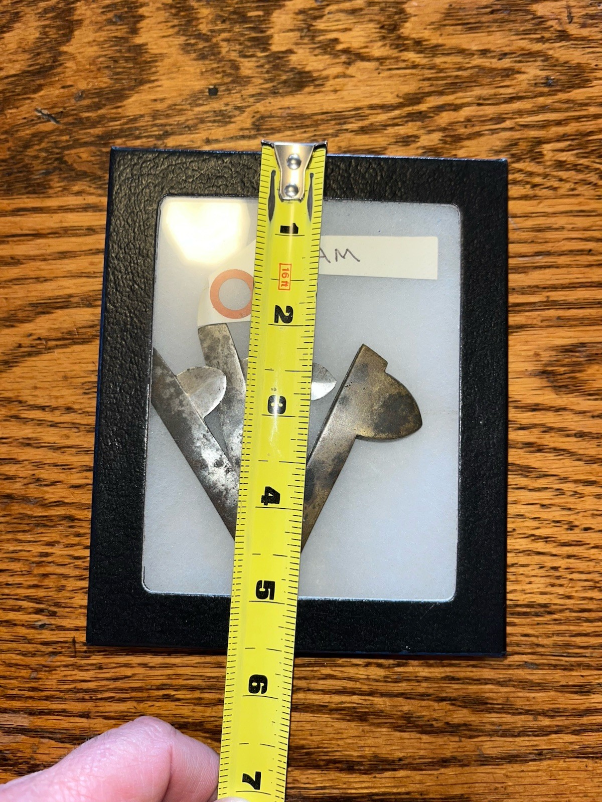 Antique 3 Blade Bloodletting Fleam In Display Box, Glass Top