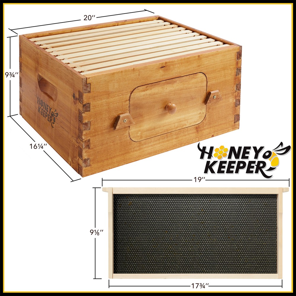 Deep Waxed Brood Box with Window, 10 frames and 10 Blk Foundations