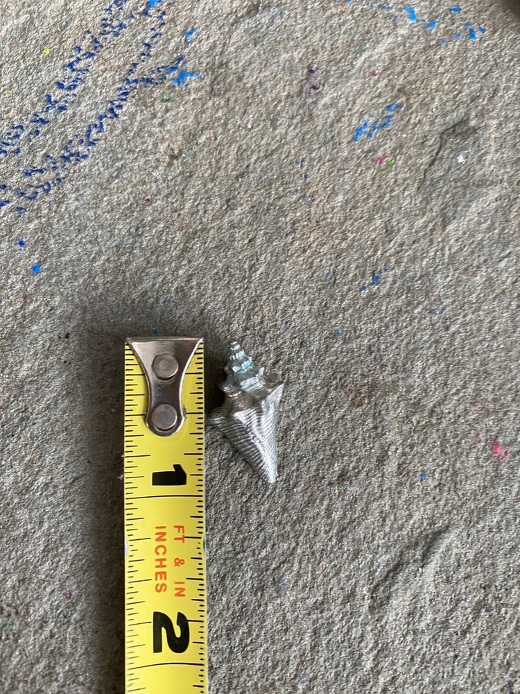 Decorative Object Seashell Silver Tone