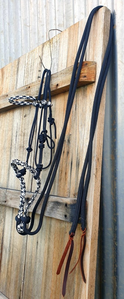LOPING HACKAMORE with PLAITED ROPE BOSAL, BITLESS BRIDLE