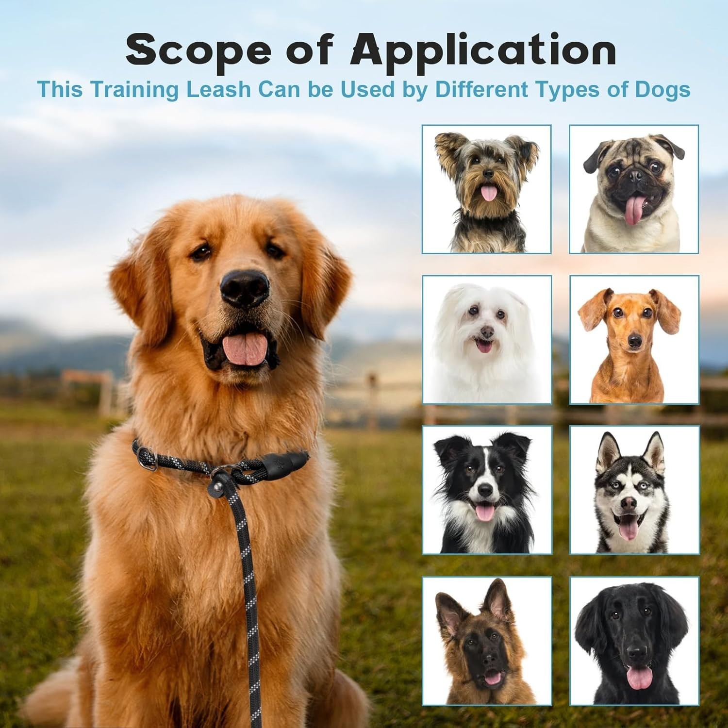 Training Slip Leash Dog Slip Lead Puppy Obedience Recall Training Lead 6 Ft Long