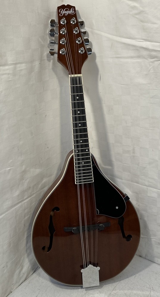 Yagaki Archtop A-Style Mandolin