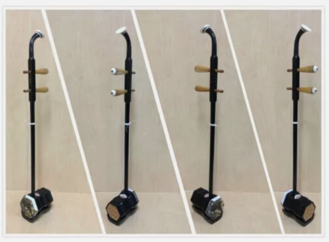 Erhu, Chinese 2-stringed Fiddle, Solid Timber Body,Neck+ Foam Case, Extra String
