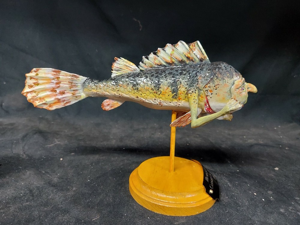 Fish with Human Face from Bora Bora,ODDITY, SIDESHOW GAFF,BIZARRE,freak,deformed