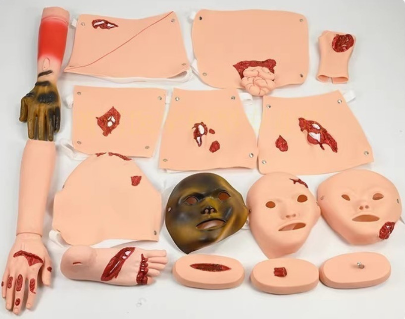 16Pc Trauma Evaluation Module First Aid Simulation Training Model Emergency Care