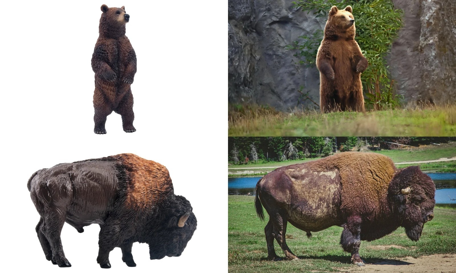 Toymany Forest Animal Figurine Playset Collectible Toy Set