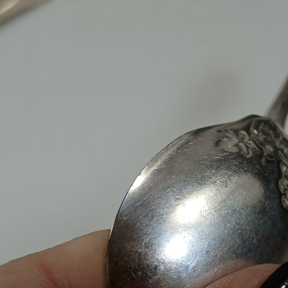 Isabella Grape 1913 R.C. Co. International Silverplate Sugar Spoon Vintage