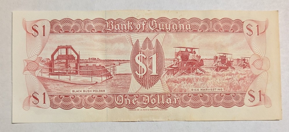 GUYANA ~  1 DOLLAR NOTE
