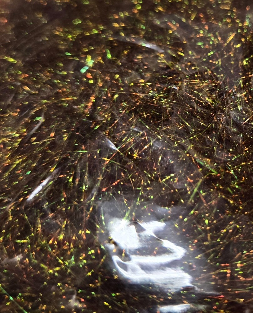 Ice Dub " Pheasant Tail " #ICE288 Dubbing