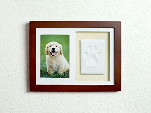 Tiny Ideas Dog or Cat Paw Print Keepsake Wall Frame Kit