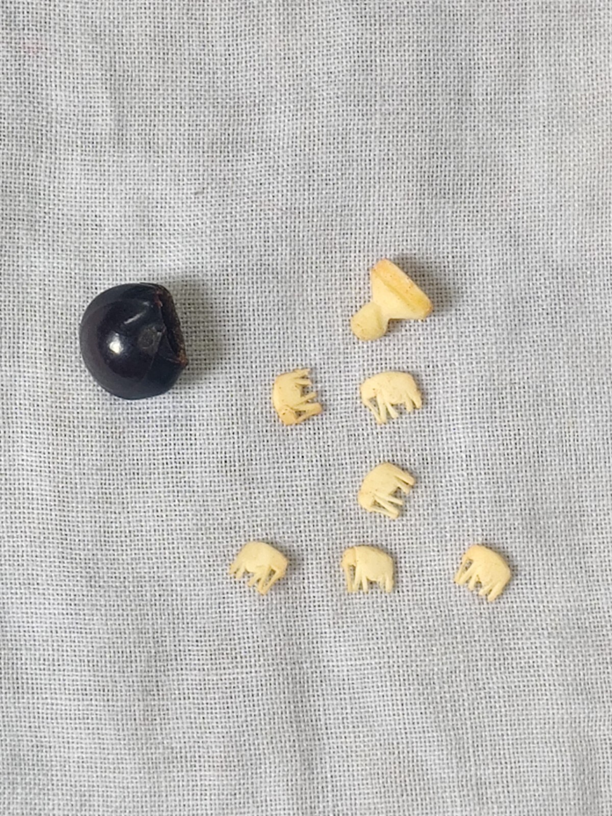 Rare Lucky Elephant Seed Bean 6 Tiny Carved Elephants Inside 1970's Vintage