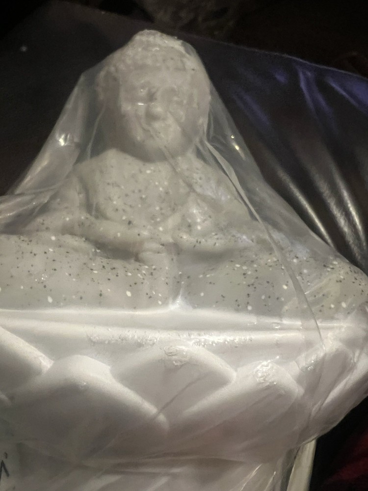 Solar Chlorine Floater,