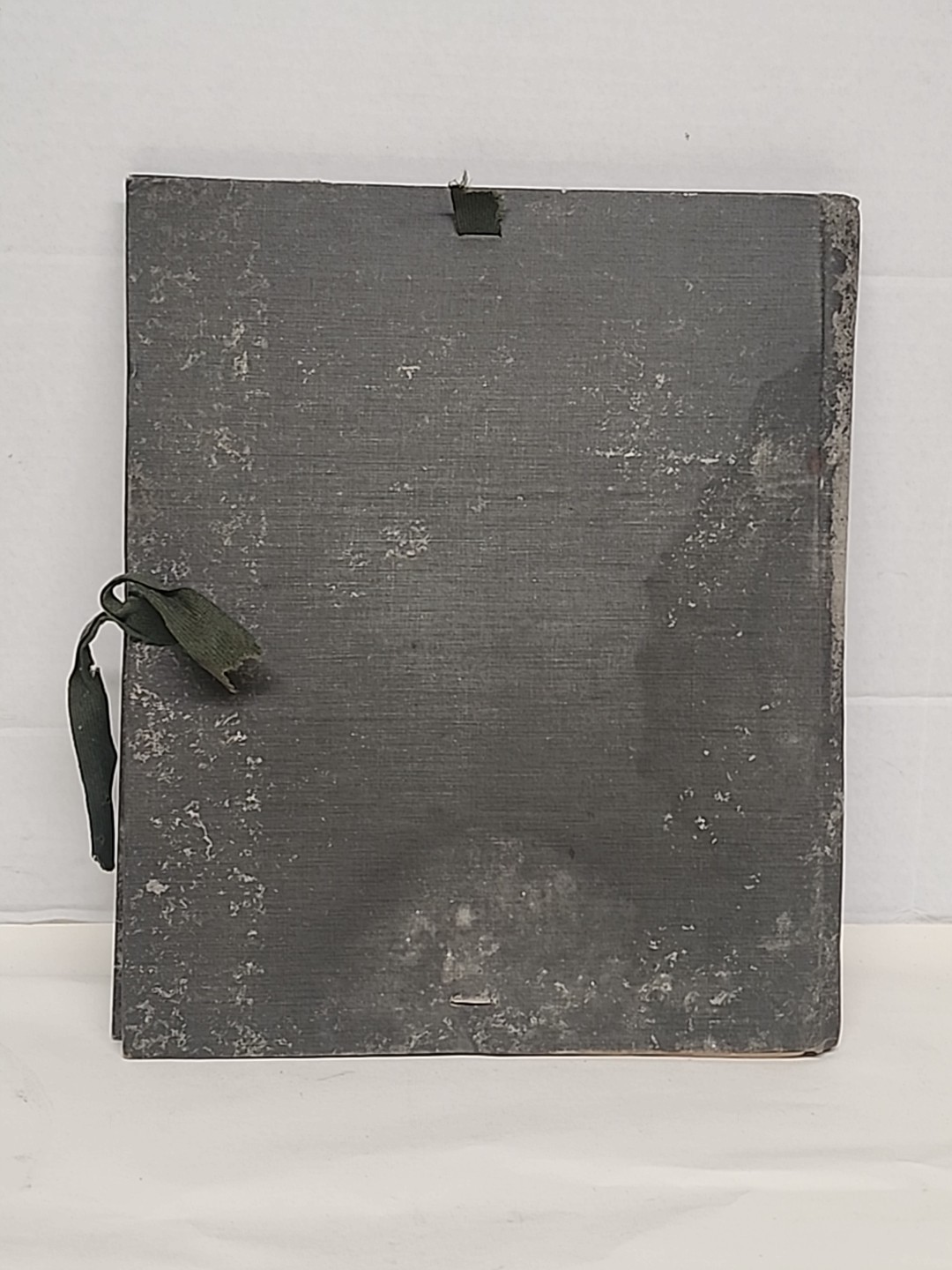 Antique HERBARIUM AND PLANT DESCRIPTIONS Meier Ginn And Company Complete 1907