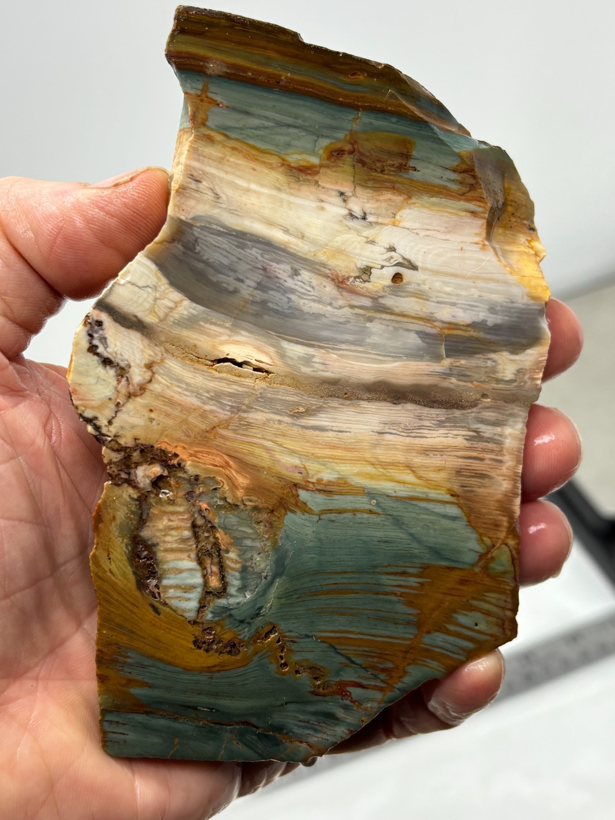 Gary Green Caldera Freedom Jasper Slab Cabbing Lapidary Combo Ship Avail