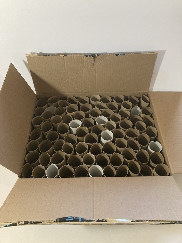 Toilet Paper Rolls Tubes Clean Empty Assorted 80 Crafts Projects Great Project!!