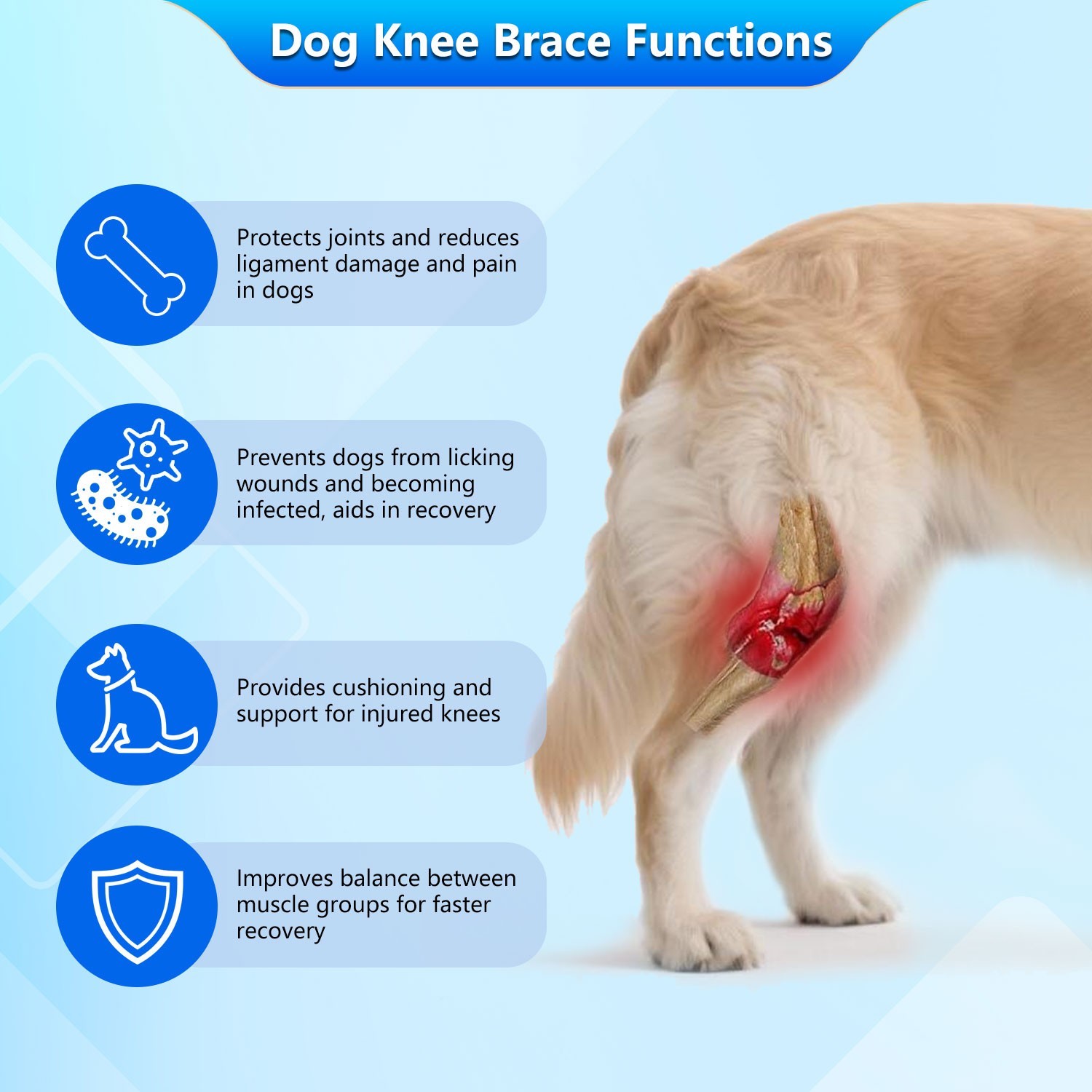 Dog Knee Brace for Torn ACL Hind Leg - Rear Leg Wrap with Metal Stabilizers