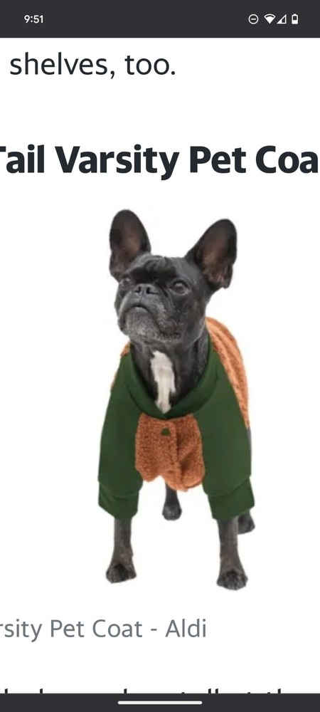 Crofton Large Orange And Brown Pet Varsity Coat