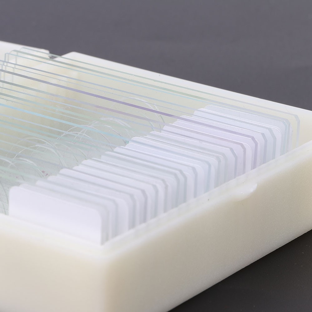 20pcs Microbiological Bacterial Specimens Biology Microscope Slices Lab Specimen