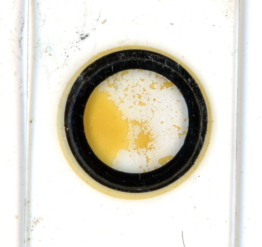 Antique glass Microscope slide Daisies Pollen sample #51