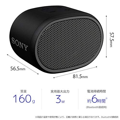 Sony Wireless Portable Speaker Waterproof Bluetooth with Microphone Black