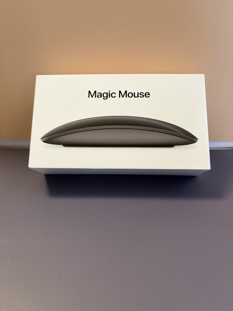 Apple Magic Mouse 2 Space Gray A1657 EMPTY BOX w/ Manual