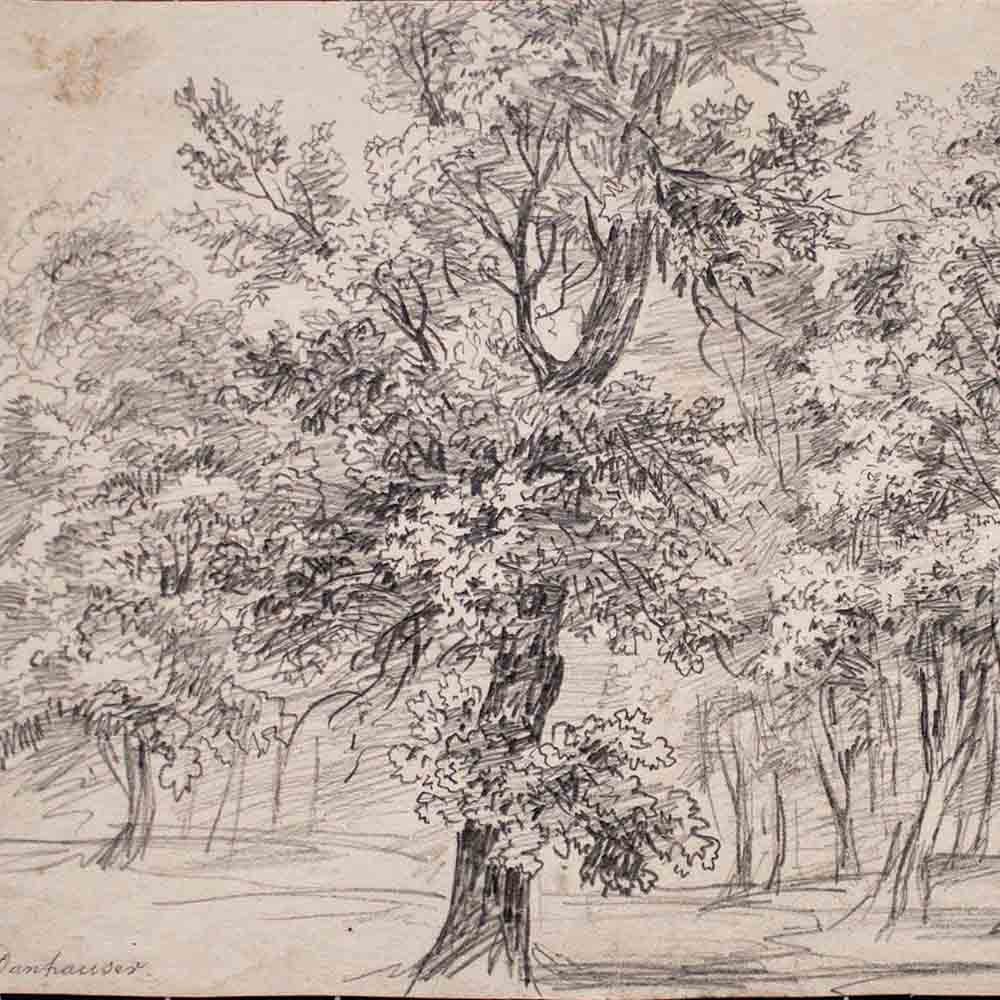 Josef Danhauser Forest Landscape Tree Study Signed Drawing 1 Half 19th Century