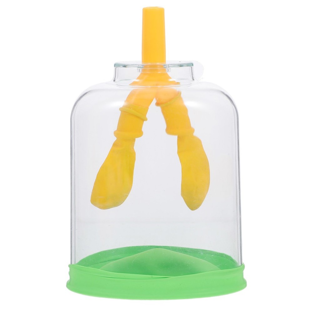 Lung Demonstration Model Function Teaching Aid