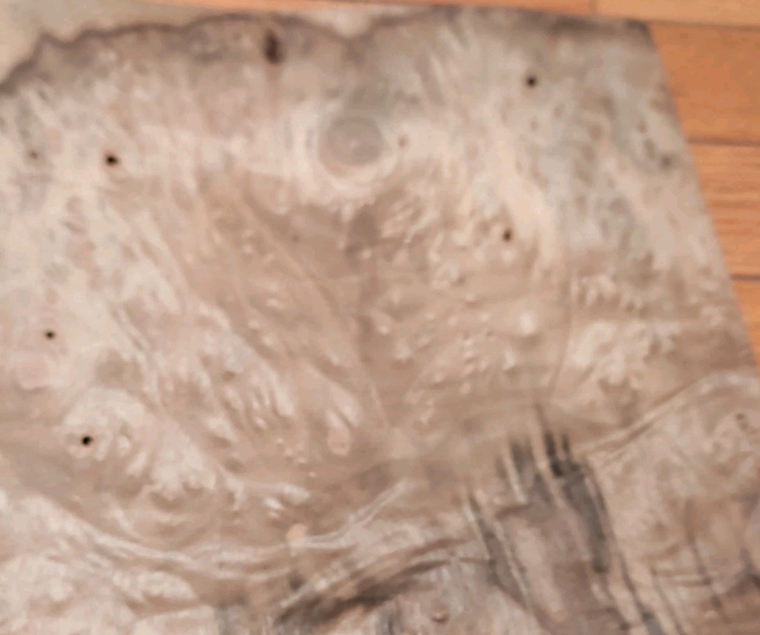 Myrtlewood burl veneer 2 pieces 18 1/4" x 11 5/8" each wood 1/42" raw