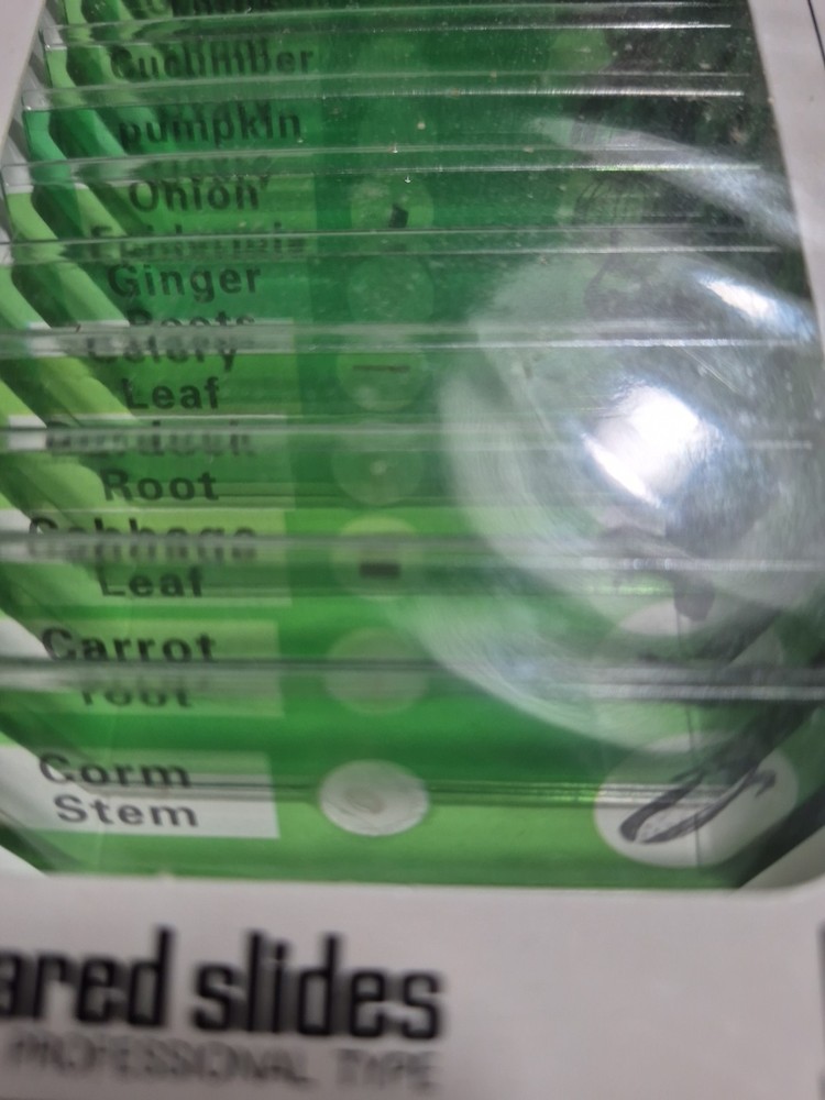 Plant Prepared Microscope Slides (12 Kinds) Professional Type