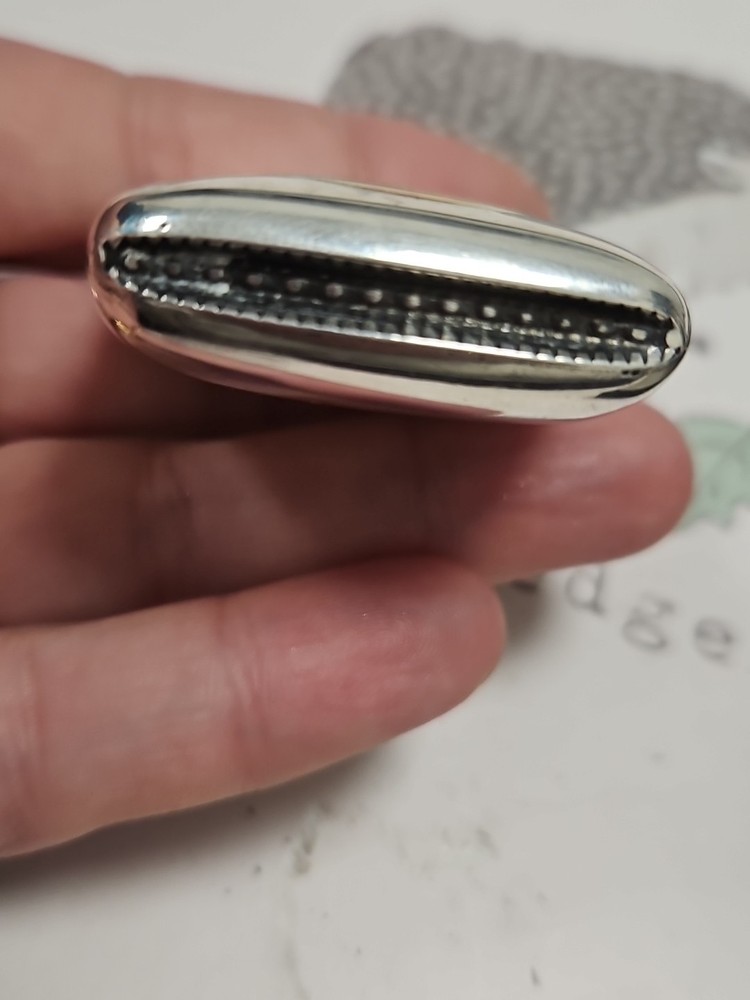 Enamel Antique Silver Vesta Case