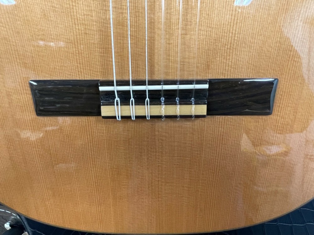 Raimundo 120E Classical Guitar Ovangcol + Solid Cedar Top , Fishman NEW SPAIN