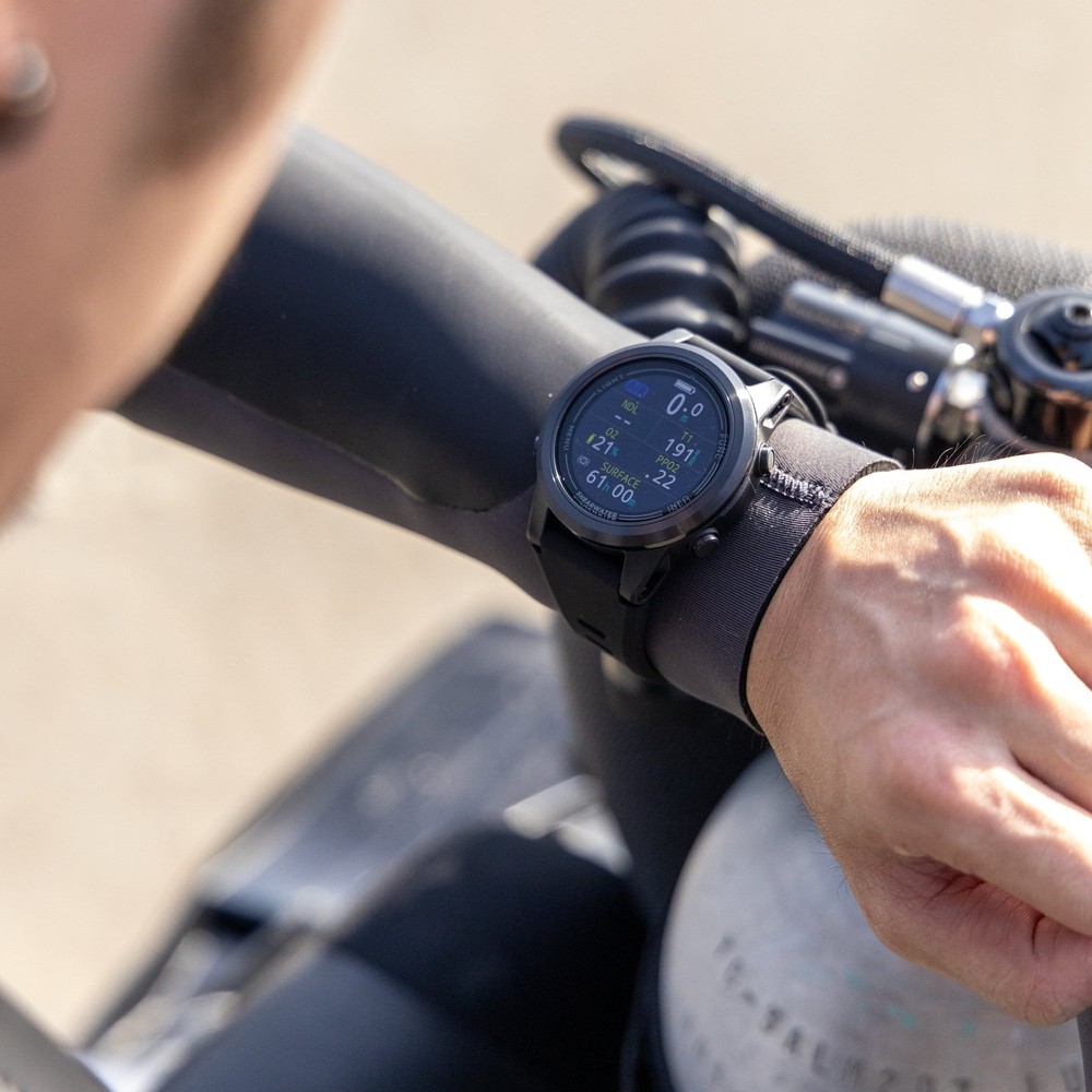 Shearwater - Tern and Tern TX