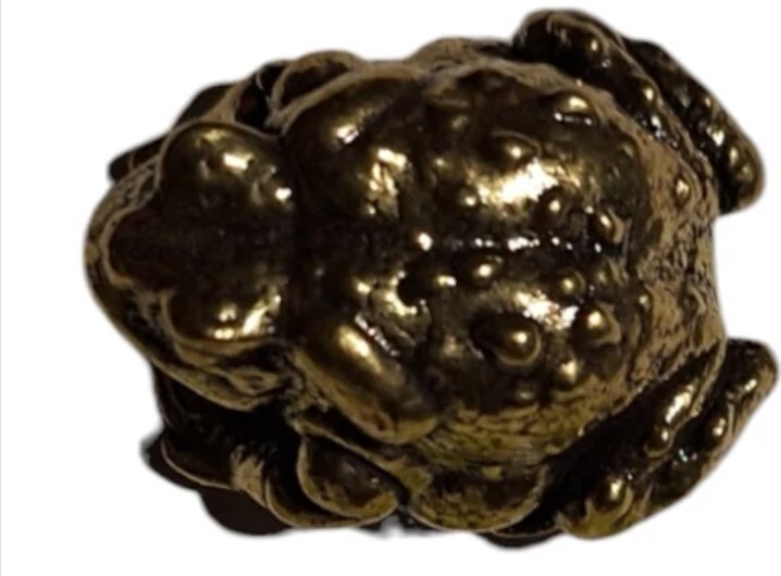 Bufo alvarius Sonoran Desert Toad Alter Piece ~ brass/small BUFO MEDICINE