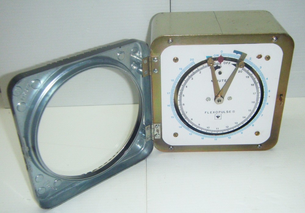 Eagle Signal Controls Flexopulse 0-20 min. Flexopulse Repeat Cycle Timer