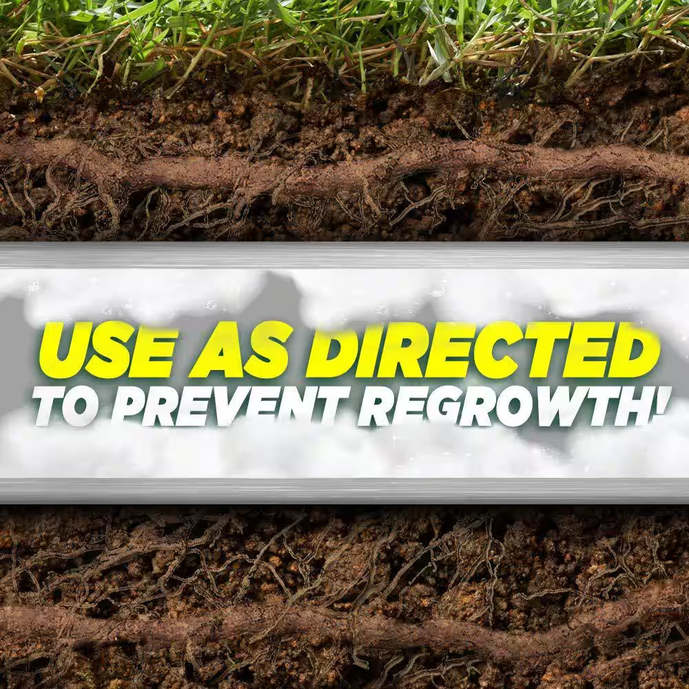 10 Lbs. Foaming Root Killer Drain Cleaner