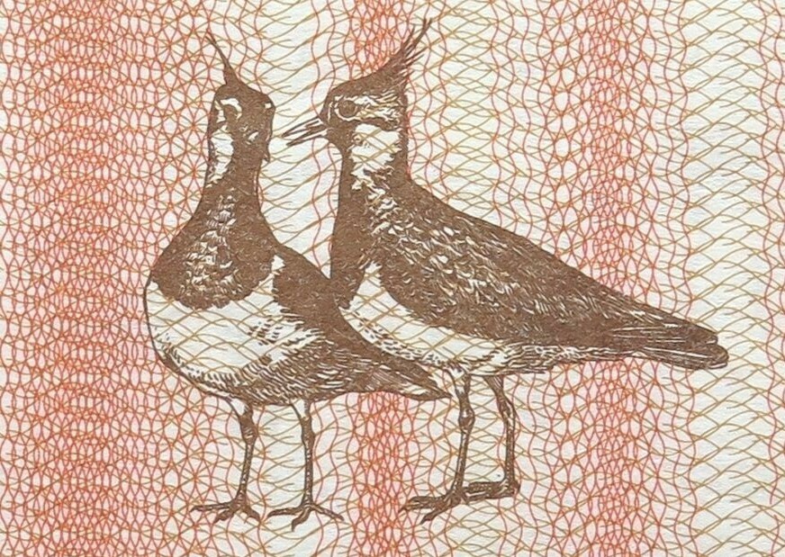 LITHUANIA  1 Talonas 1992  UNC   Birds