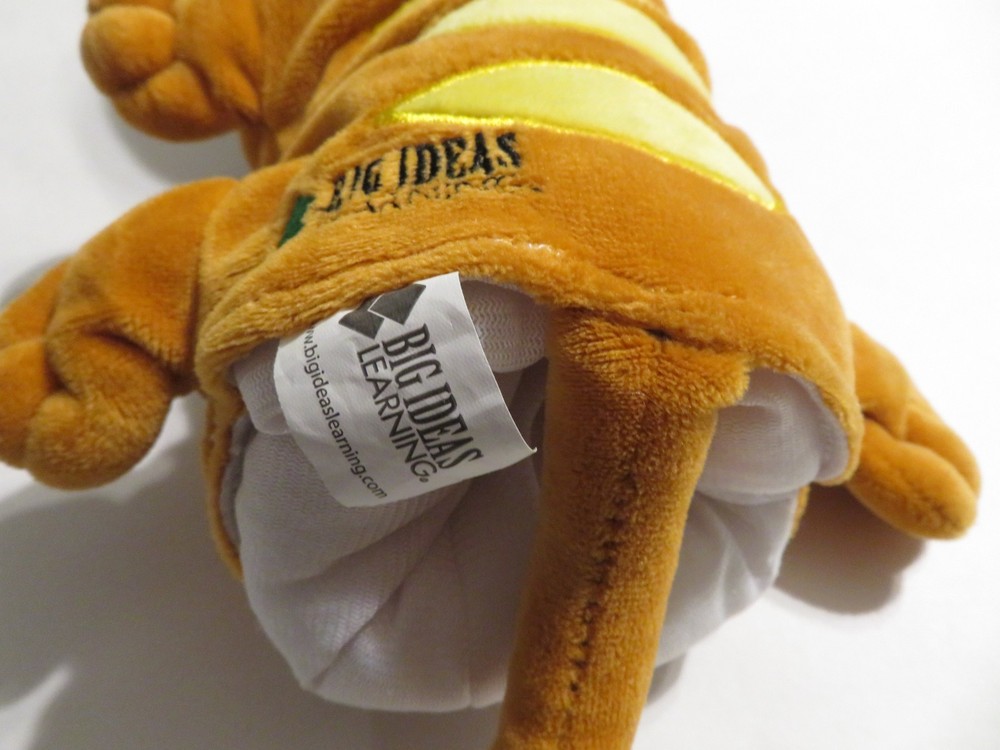 Hand Puppet Descartes Big Ideas Orange Cat Hand Puppet Plush Learning Toy