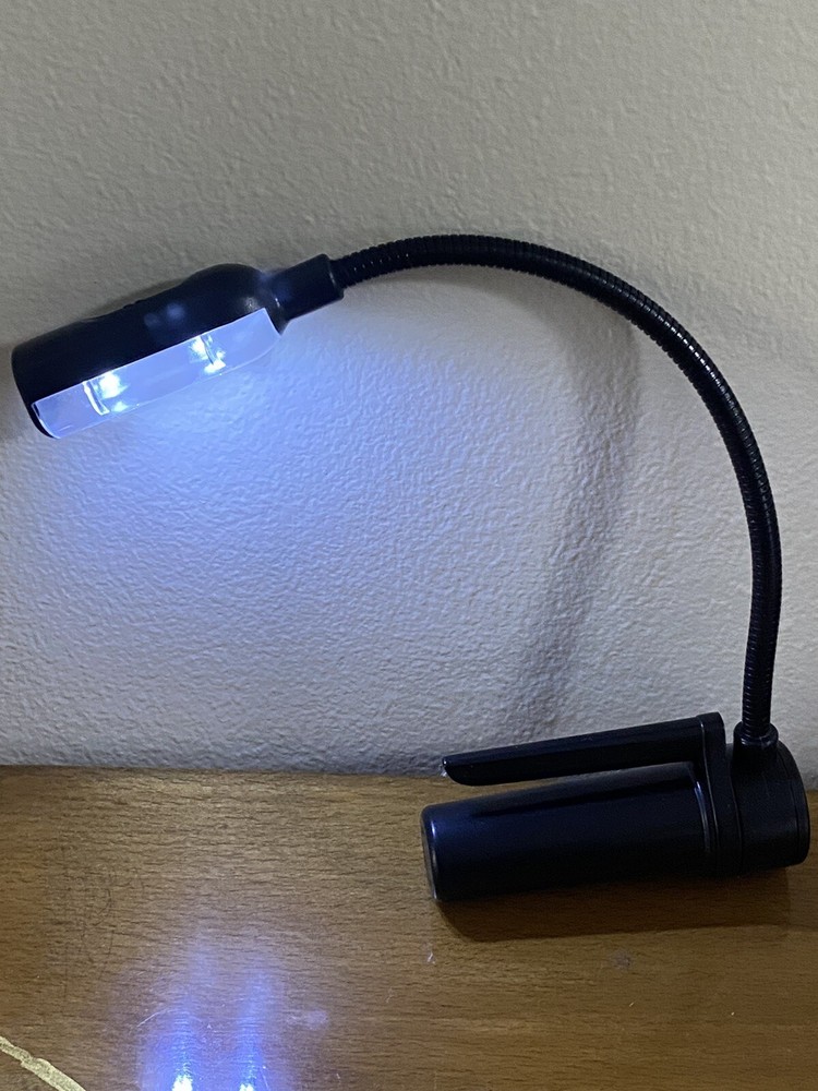 Great Point Light Spike Bright 2 LED Reading Book Clip