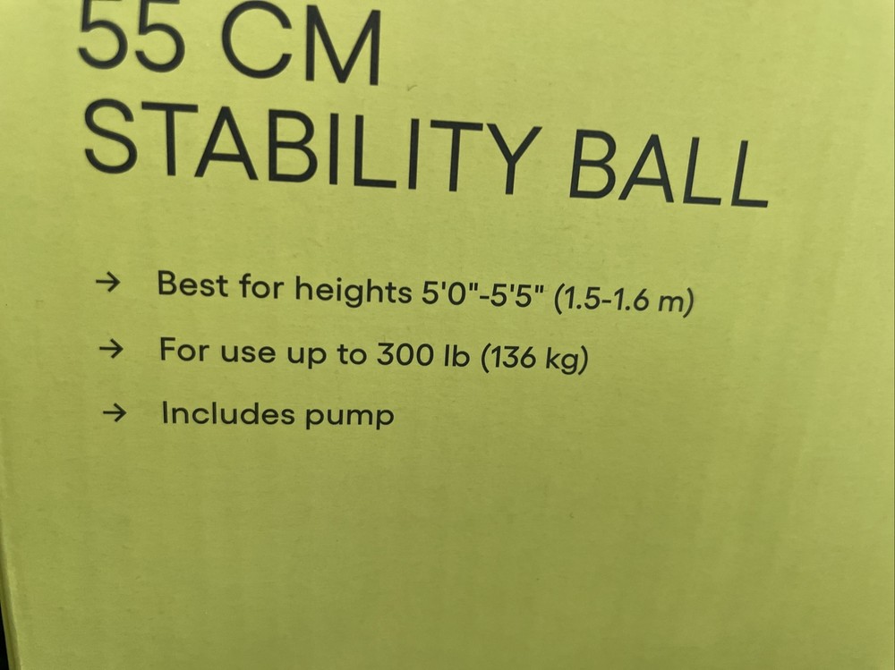 All In Motion 55cm Stability Ball With Pump