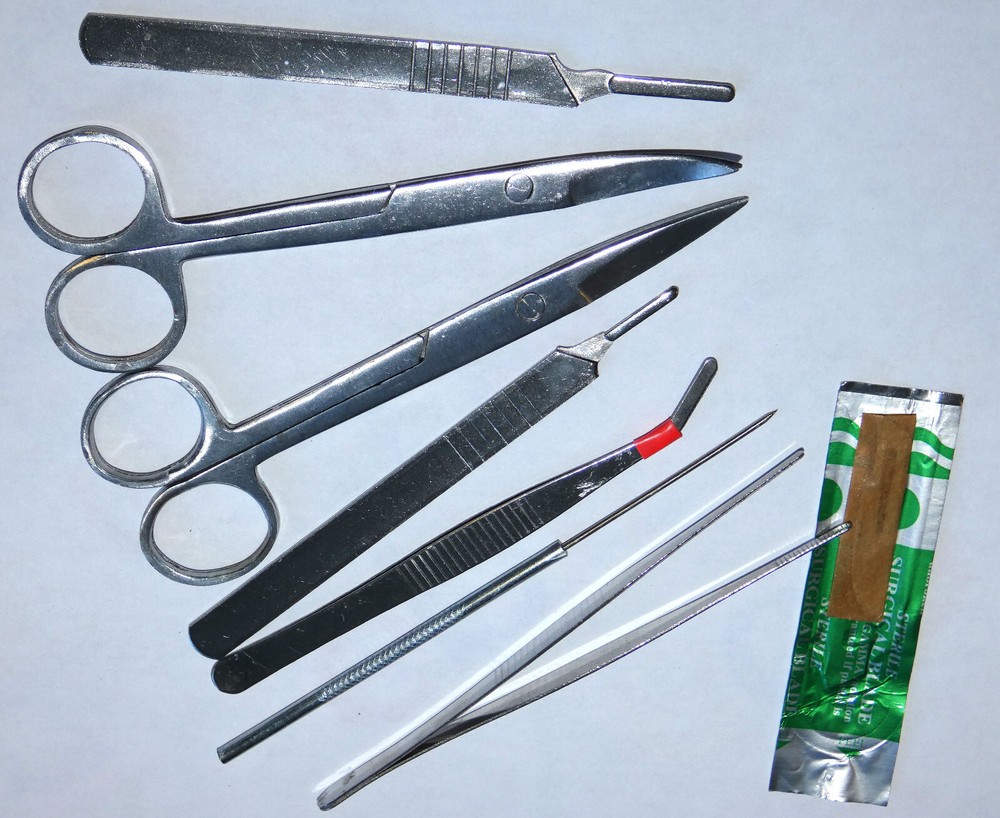 7 Pices Student Dissection Kit Biologh Lab Dissecting Tool Set New