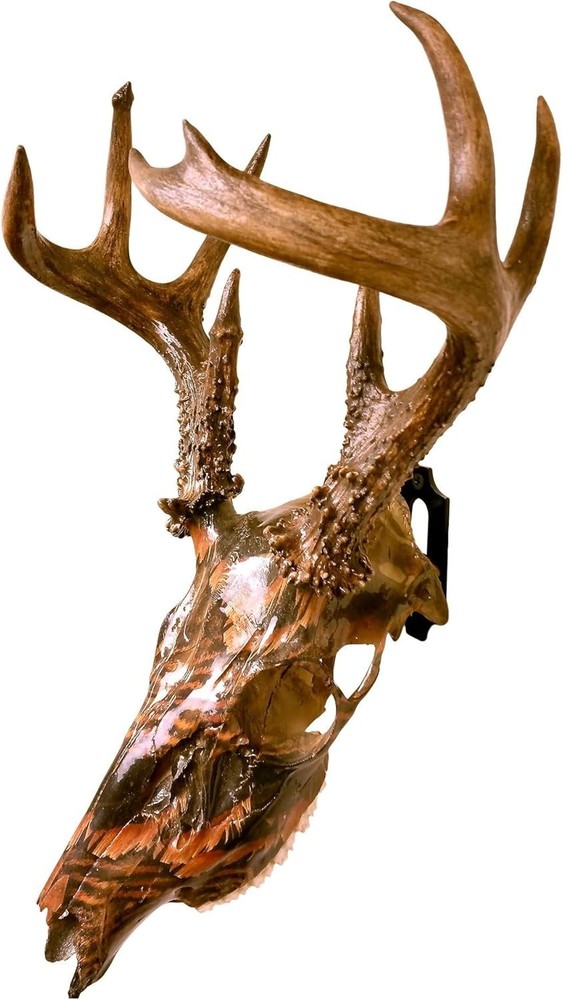 Versatile Skull Mounts for Deer, Bear & More - Cost-Effective Display Solution