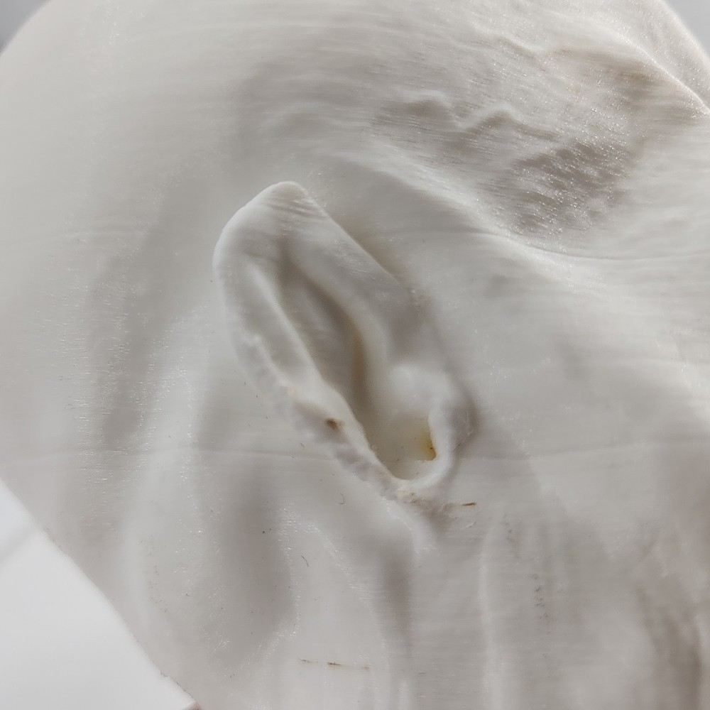 3D Printed Alien Head [109]