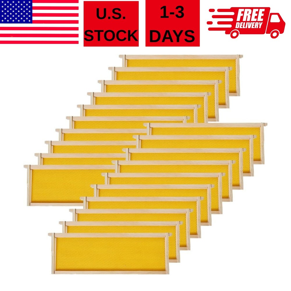20 Pack Medium Super Beehive Frames with Wax Foundations Honey Bee Frames New