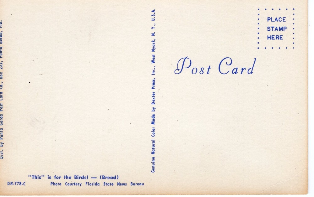 "THIS" IS FOR THE BIRDS! - (BREAD) - PC5235